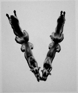 Image description is not available for 2001.080